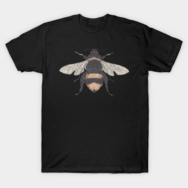 Bee, Honey Bee on cream T-Shirt by krisevansart